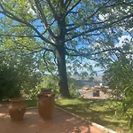 Gemmano'S Villa With Pool And Vineyard Villa