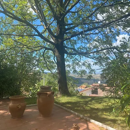Gemmano's With Pool And Vineyard Villa